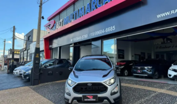 Ford Ecosport 2.0 16v 4p Flex 4wd Direct Storm Automático 2019 full