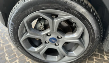 Ford Ecosport 2.0 16v 4p Flex 4wd Direct Storm Automático 2019 full