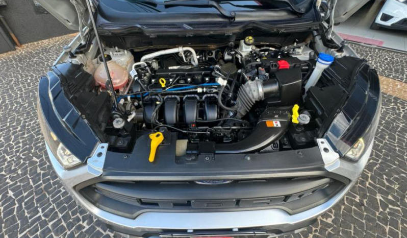 Ford Ecosport 2.0 16v 4p Flex 4wd Direct Storm Automático 2019 full