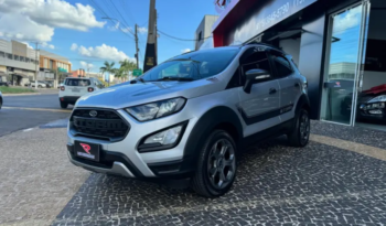 Ford Ecosport 2.0 16v 4p Flex 4wd Direct Storm Automático 2019 full