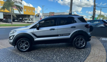 Ford Ecosport 2.0 16v 4p Flex 4wd Direct Storm Automático 2019 full