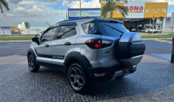 Ford Ecosport 2.0 16v 4p Flex 4wd Direct Storm Automático 2019 full