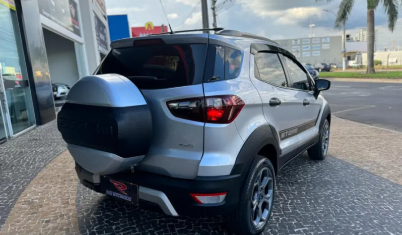 Ford Ecosport 2.0 16v 4p Flex 4wd Direct Storm Automático 2019 full
